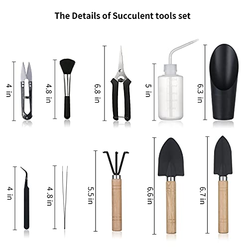 11-Piece Succulent Instrument Set: Mini Gardening Instruments, Watering Devices, and Equipment for Plant Care, Best for Seedlings, Succulents, Houseplants, and Reward Giving