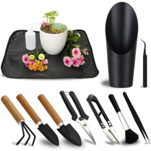 11-Piece Succulent Instrument Set: Mini Gardening Instruments, Watering Devices, and Equipment for Plant Care, Best for Seedlings, Succulents, Houseplants, and Reward Giving