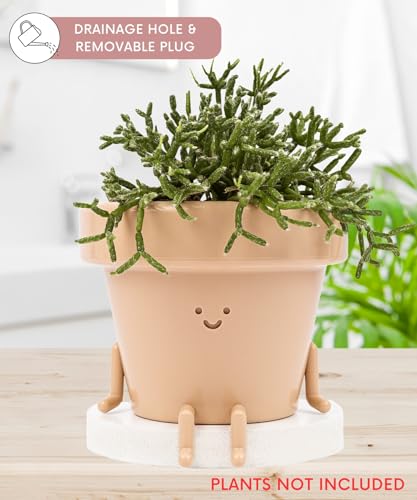 Authentic Earthlings 3.5-Inch Lovely Sitting Pot - Plastic Whimsical Planter with Drainage - Distinctive Present for Cactus Lovers - Small Succulent Face Flower Pot - Charming...