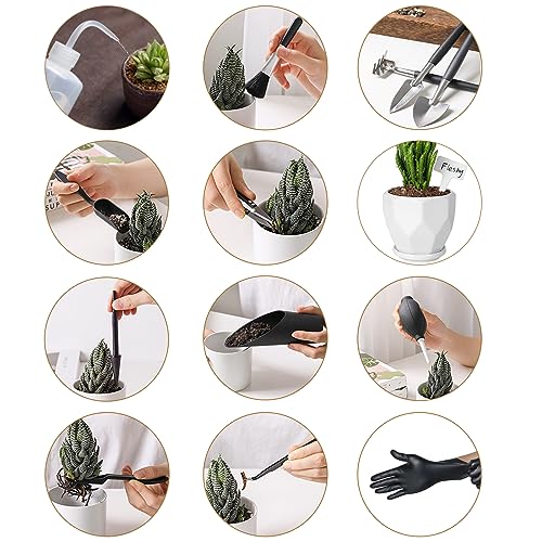 Melphoe 25-Piece Mini Backyard Hand Instruments Set for Transplanting Succulents, That includes a 39.4" Thickened Repotting Mat & Plant Tags – Superb for Indoor Fairy Backyard Care, Potting,...