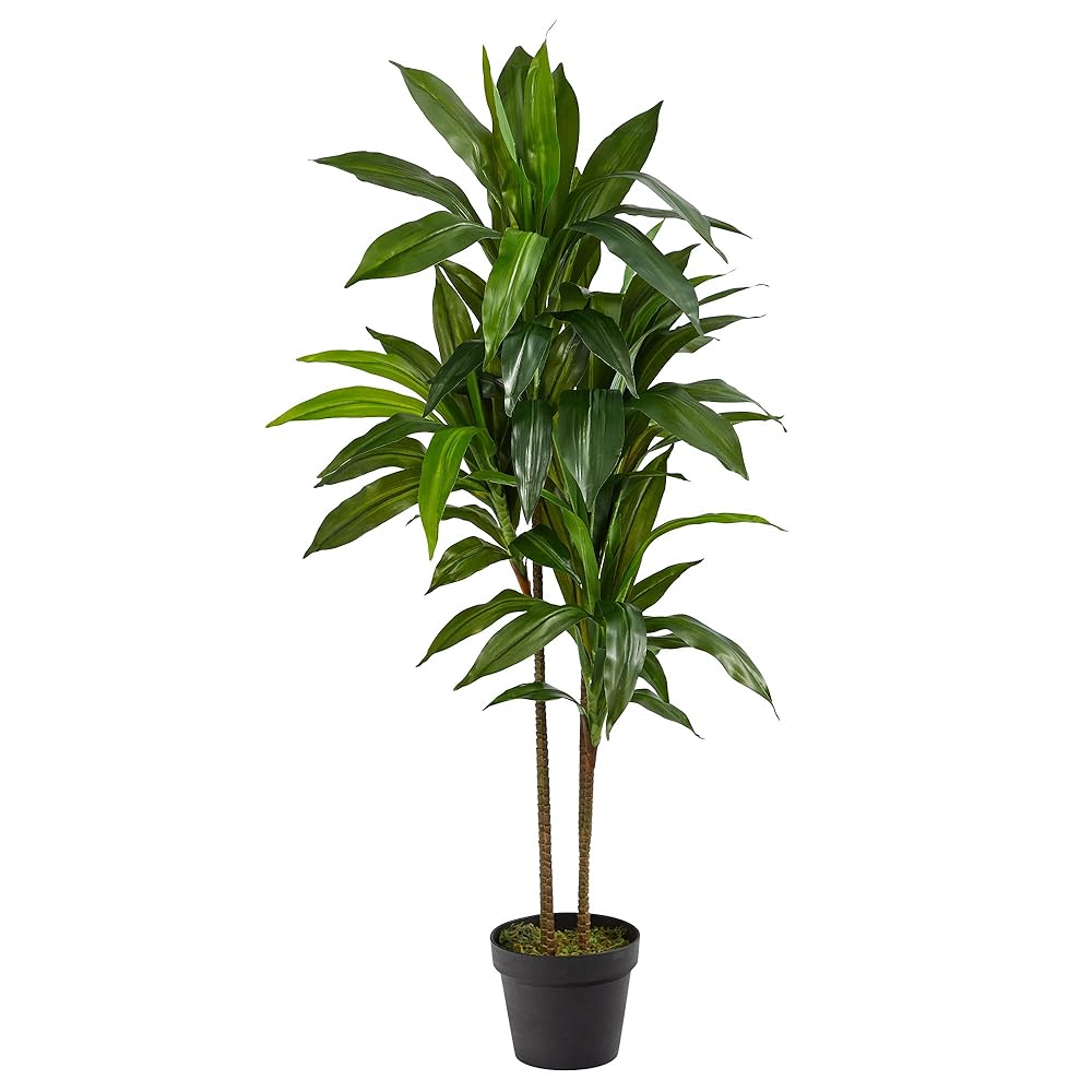 Practically Pure 48-Inch Inexperienced Dracaena Silk Plant (Actual Contact)