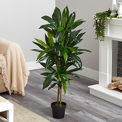 Practically Pure 48-Inch Inexperienced Dracaena Silk Plant (Actual Contact)