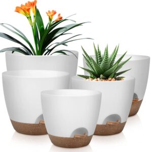 Self-Watering Plant Pots Set of 5 – 10/9/8/7.5/7 Inch Plastic Planters with Drainage Holes and Saucers, Splendid for Indoor and Out of doors Use