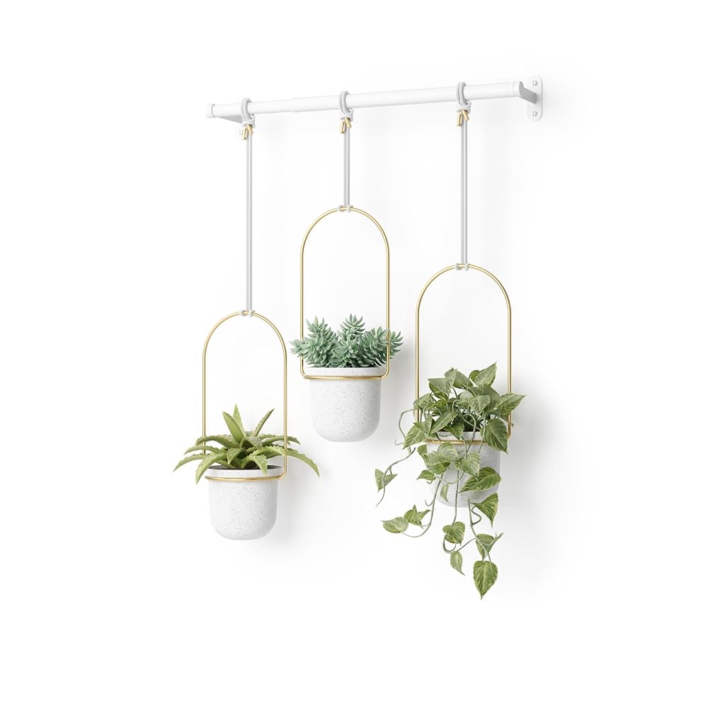 Set of three Umbra Triflora Indoor Hanging Planters for Home windows – White and Brass Herb Backyard