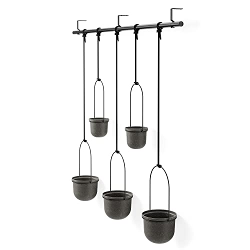 Set of 5 Black Umbra Triflora Hanging Planters for Indoor Herb Backyard and Home windows