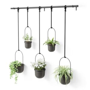 Set of 5 Black Umbra Triflora Hanging Planters for Indoor Herb Backyard and Home windows