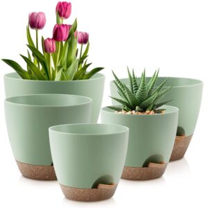 Set of 5 Self-Watering Plant Pots in Varied Sizes (10/9/8/7.5/7 Inches) – Plastic Planters with Drainage Holes and Saucers for Indoor and Outside Use