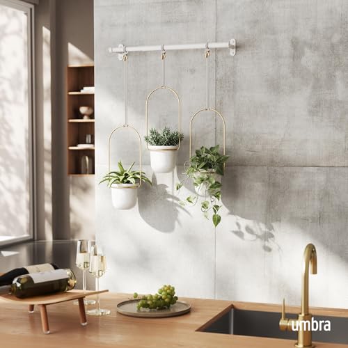 Set of three Umbra Triflora Indoor Hanging Planters for Home windows – White and Brass Herb Backyard