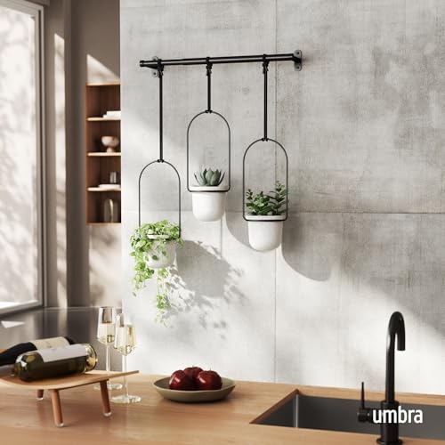 Umbra Triflora Indoor Herb Backyard Hanging Planter Set of three for Home windows, White/Black