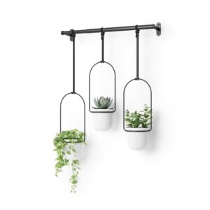 Umbra Triflora Indoor Herb Backyard Hanging Planter Set of three for Home windows, White/Black