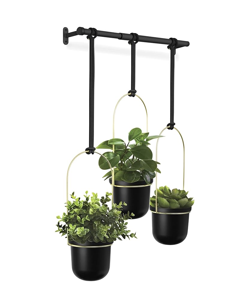 Umbra Triflora Wall-Mounted Planter