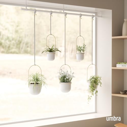 Umbra Triflora Window Hanging Planter Set of 5 for Indoor Herb Backyard, White and Brass