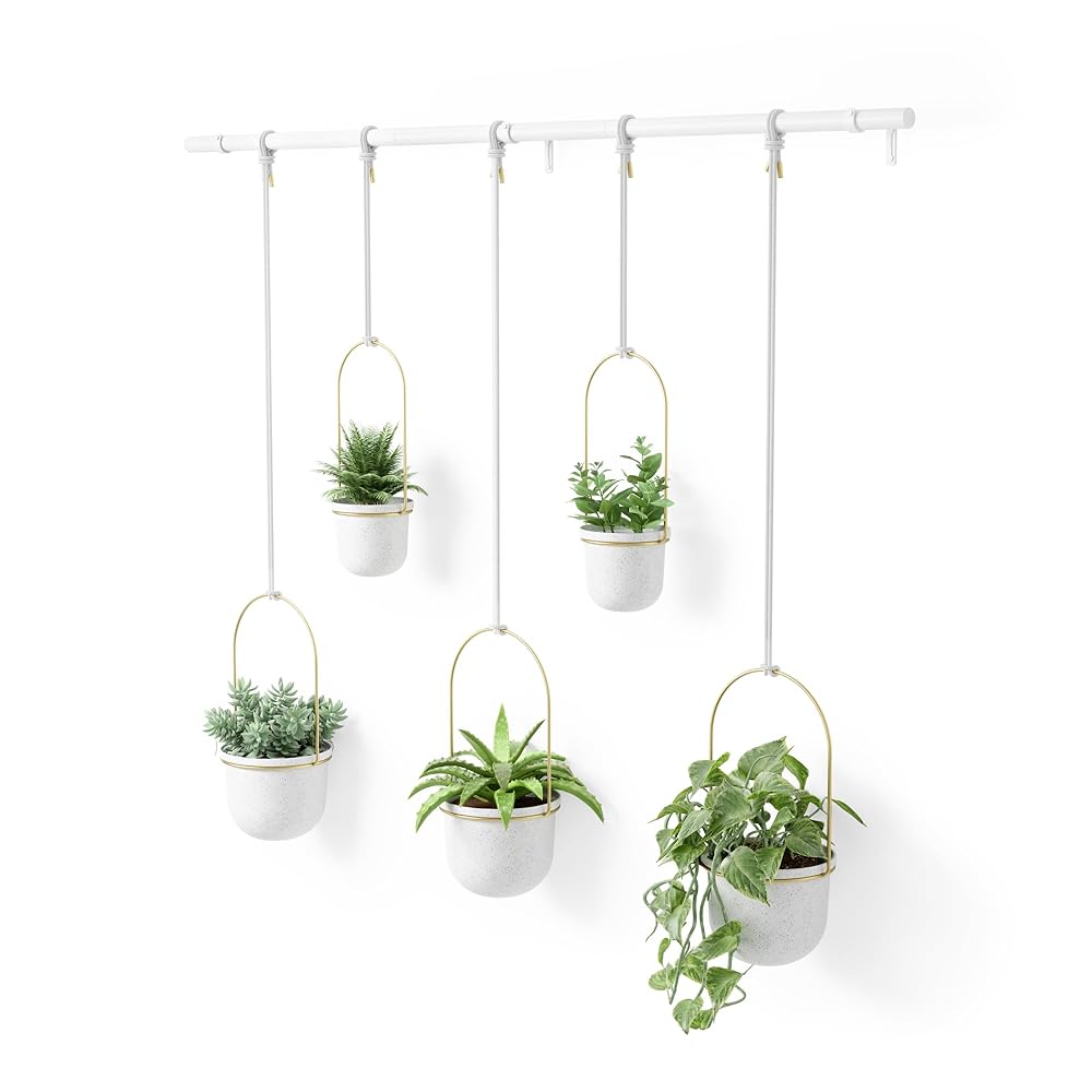 Umbra Triflora Window Hanging Planter Set of 5 for Indoor Herb Backyard, White and Brass