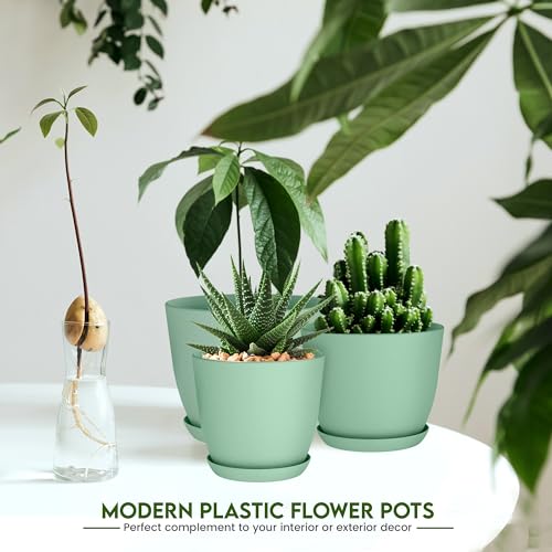 Utopia House Indoor Plant Pots with Drainage - Set of 5 Plastic Flower Pots (Sizes: 7, 6.6, 6, 5.3, and 4.8 Inches) for House Decor, Best for Indoor Vegetation and Cacti